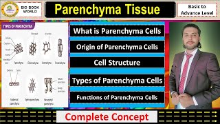 Parenchyma Tissue  Types of Parenchyma  Simple Permanent Tissue  Complete Detail [upl. by Horodko]