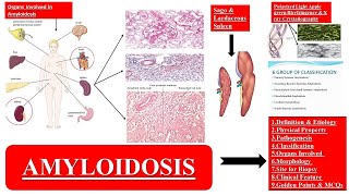 Amyloidosis Made Easy [upl. by Aik]