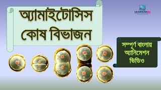 অ্যামাইটোসিস কোষ বিভাজন  Amitosis cell division  Bangla Animation Video  Learning24 [upl. by Kirenoj]