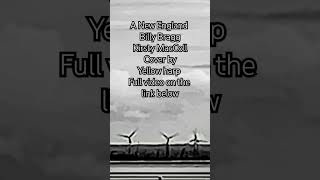 a new england billy bragg Kirsty maccoll cover by yellow harp harpandlooper harpmusic billybragg [upl. by Erreid692]