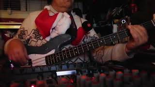 Toto  While My Guitar Gently Weeps Didier Cover Bass [upl. by Brina]