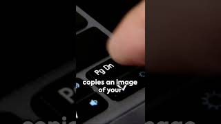 How To Screenshot On HP Laptop  how to take a screenshot on hp laptop [upl. by Ymerrej870]