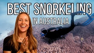 Top 5 Bucketlist Freediving  Snorkeling in Australia [upl. by Coniah]