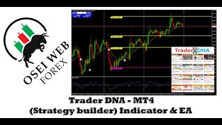 Trader DNA Trading Strategies MT4  Indicator amp EA Part 2 [upl. by Natehc232]