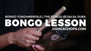 Bongo Lesson  How to Play Bongos  The Bongo in Salsa Dura  CongaChopscom [upl. by Yelik782]