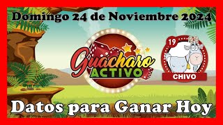 Datos Guacharo Activo para hoy 24 Noviembre 2024 ✅ [upl. by Reichert]