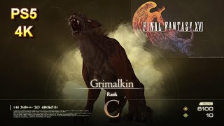 How to find and defeat Grimalkin Notorious Mark  Rank C  Final Fantasy 16 XVI [upl. by Ahtiuqal]