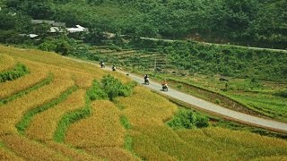 Northwest Vietnam Motorbike Touring [upl. by Collie]