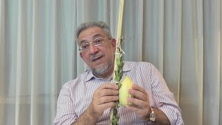 El Lulav una mitsvah de reparación para la fiesta de Succot [upl. by Yolande]