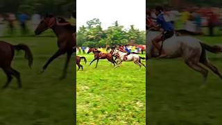 Horse racing game 😍😍🔥🔥🔥vairal youtubeshort [upl. by Esmaria513]