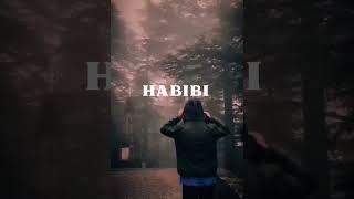 Habibi  Song by Dardan Ricky Rich and Zuna [upl. by Eelrebmik348]