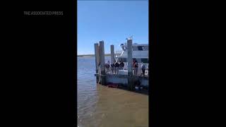 Deadly Georgia boat dock collapse 7 die after 20 plunge into ocean during Sapelo Island festival [upl. by Sukramaj683]