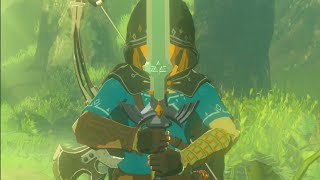 THE LEGEND OF ZELDA BREATH OF THE WILD  Como conseguir la Espada Maestra [upl. by Lletram]