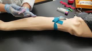 Phlebotomy Venipuncture Procedure [upl. by Wertheimer918]