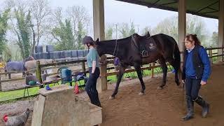 Introduction leading a horse mounting checking girth and stirrups part 1 [upl. by Cavil]