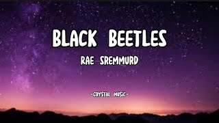 Rae Sremmurd  Black Beetle  Lyrics [upl. by Neumark739]