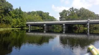 Wekiva River Boat Ride [upl. by Slack332]