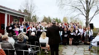 Siste skoledag på Elverum folkehøgskole 20112012  Kringsatt av fiender [upl. by Levenson152]