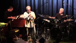 Bye Bye Blackbird  Steve Gadd Band Live at Blue Note Tokyo [upl. by Siobhan]