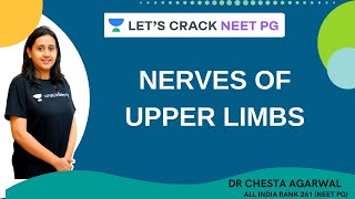 Nerves of Upper Limbs  NEET PG 2021  Dr Chesta Agarwal [upl. by Everara230]