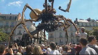 Une araignée géante investit les rues de Nantes [upl. by Elbring]