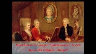 Agnus Dei Spatzenmesse Mozart [upl. by Papst]