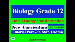 New Curriculum Biology Grade 12 Unit 3 Energy Transformation Tutorial Part 2 in Afan Oromo [upl. by Ecart]