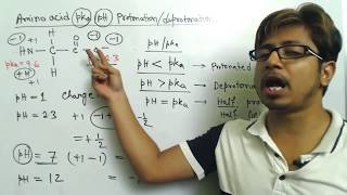 Amino acid charge at different pH and amino acid titration calculation problems [upl. by Anniala630]