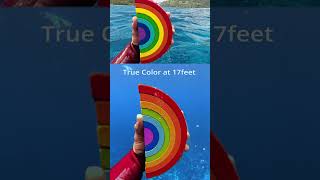 Underwater color test at 40ft12m 🎨 DJI Osmo Action 5 Pro 🎬 roamtobewild7801 [upl. by Odnalra]