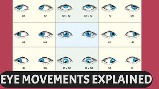 EYE MOVEMENTS EXPLAINED  Ductions versions vergence six cardinal gaze positions [upl. by Gaskill691]