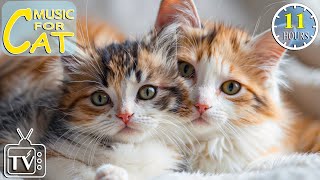 Music Therapy for Cats  EXTREME RELAXATION Music for Cats  Best Calming Tunes for Cats amp Kittens [upl. by Bej]