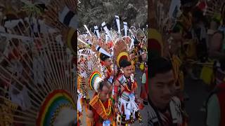 Hornbill Festival hornbillfestival2024 hornbillfestival nagalandtourism [upl. by Emerej862]