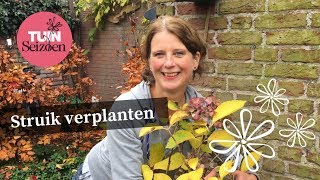 Struik verplanten  Tuinseizoen [upl. by Pillihp]