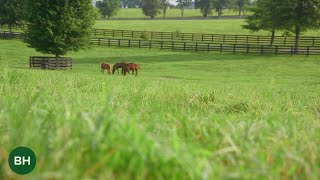 Legends of the Land Claiborne Farm [upl. by Grannia]