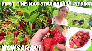 BUHAY AMERIKAFIRST TIME NAMIN MAG STRAWBERRY PICKING SOBRANG DAMI AT SAYA NA MAMITAS GANDA NG LUGAR [upl. by Adnuahsar]