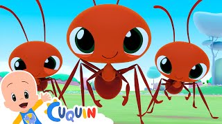 Ants Go Marching  Wash Your Hands  Fun Songs with Cleo amp Cuquin [upl. by Morganica]