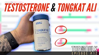 TESTOSTERONE AND TONGKAT ALI  BLOODWORK  THE BIG BULK Ep12 [upl. by Nies980]