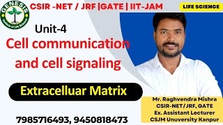 Extracellular matrix  Fibronectin  Laminins  Adhesive proteins  Cellular communication  L2 [upl. by Yerxa]