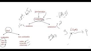 L1 Introduction to Biochemistry [upl. by Augie763]