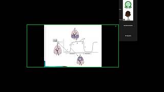 NSA Residents tutorial Capnography [upl. by Bassett]