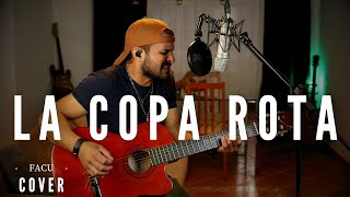 La Copa Rota  José Feliciano Facu cover [upl. by Aihtnamas]