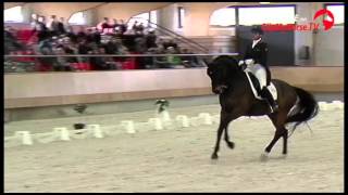 Danielle Heijkoop wint KNHS Indoorkampioenschap Lichte Tour [upl. by Dupaix]