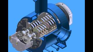 How a Bornemann SLH twin screw pump works 2 avi [upl. by Sidonia884]