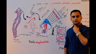 Endoplasmic reticulum amp Lysosome এন্ডোপ্লাজমিক জালিকা ও লাইসোসোম  Dr Razib Hossain Sarkar [upl. by Alorac734]