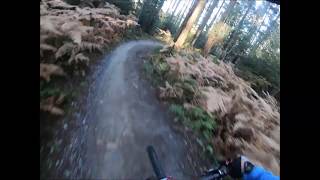 Hamsterley Forest  Transmission  Red Trail [upl. by Ebneter]