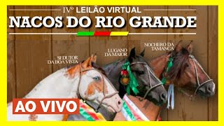 IV Leilão Virtual NACOS DO RIO GRANDE [upl. by Lyndsay]