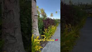 Beautiful Samoan garden 🏝️🇼🇸 685 samoa tourism plants garden tropical [upl. by Ardnosac461]