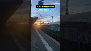 OffenbachOst Vorbeifahrt RB403ICE3➡️BasselSBB ice3 shorts [upl. by Shelburne190]