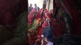 funny desi wedding dance meenageethd dancemusic [upl. by Marutani]