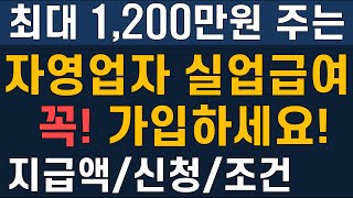 매월 169만원씩 최대 1200만원 주는 자영업자 실업급여 꼭 가입하세요지급액 신청방법 자격조건 등 [upl. by Kreindler]